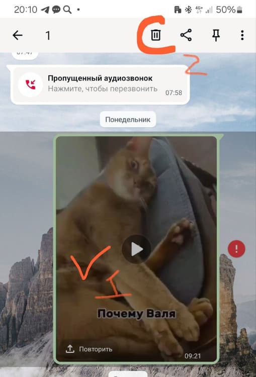 Процесс удаления видео из мессенджера